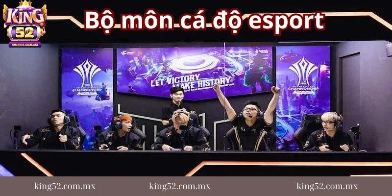 Nhung-bo-mon-ca-do-esport-tai-trang-web