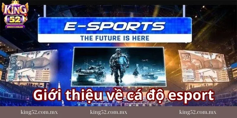 Gioi-thieu-ve-ca-do-esport-tai-nha-cai-