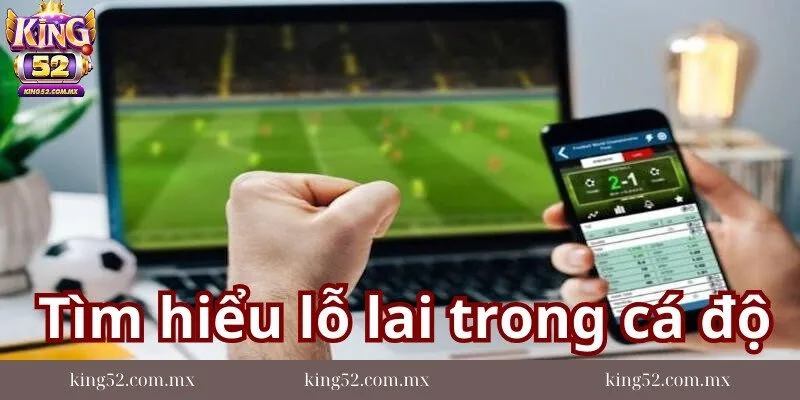 Tim-hieu-ve-lo-lai-trong-ca-do-la-gi?